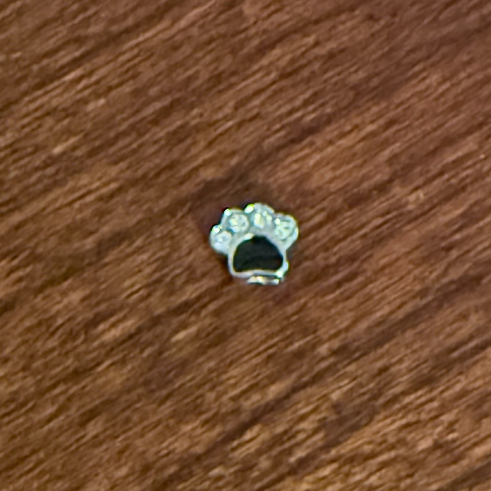 NWOT Origami Owl Silver Paw Print Charm